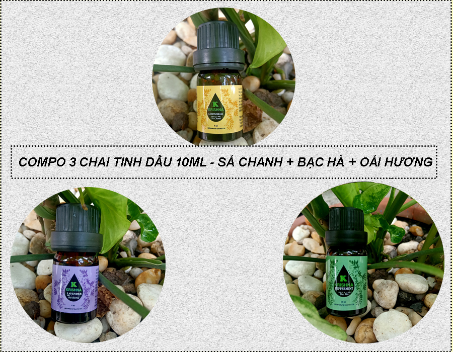 Máy Khuếch Tán Tinh Dầu Tuylip 500ml Tặng 3 Chai Sả Chanh + Bạc Hà + Oải Hương 10ml Nhập Khẩu Nguyên Chất - Máy Xông Tinh Dầu Xông Phòng 30m2  - Giúp Khuếch Tán Tinh Dầu, Tỏa Hương Tinh Dầu, Tạo Độ Ẩm - Tặng Kèm Remote Điều Khiển - Đèn Led 7 Màu - Tuylip