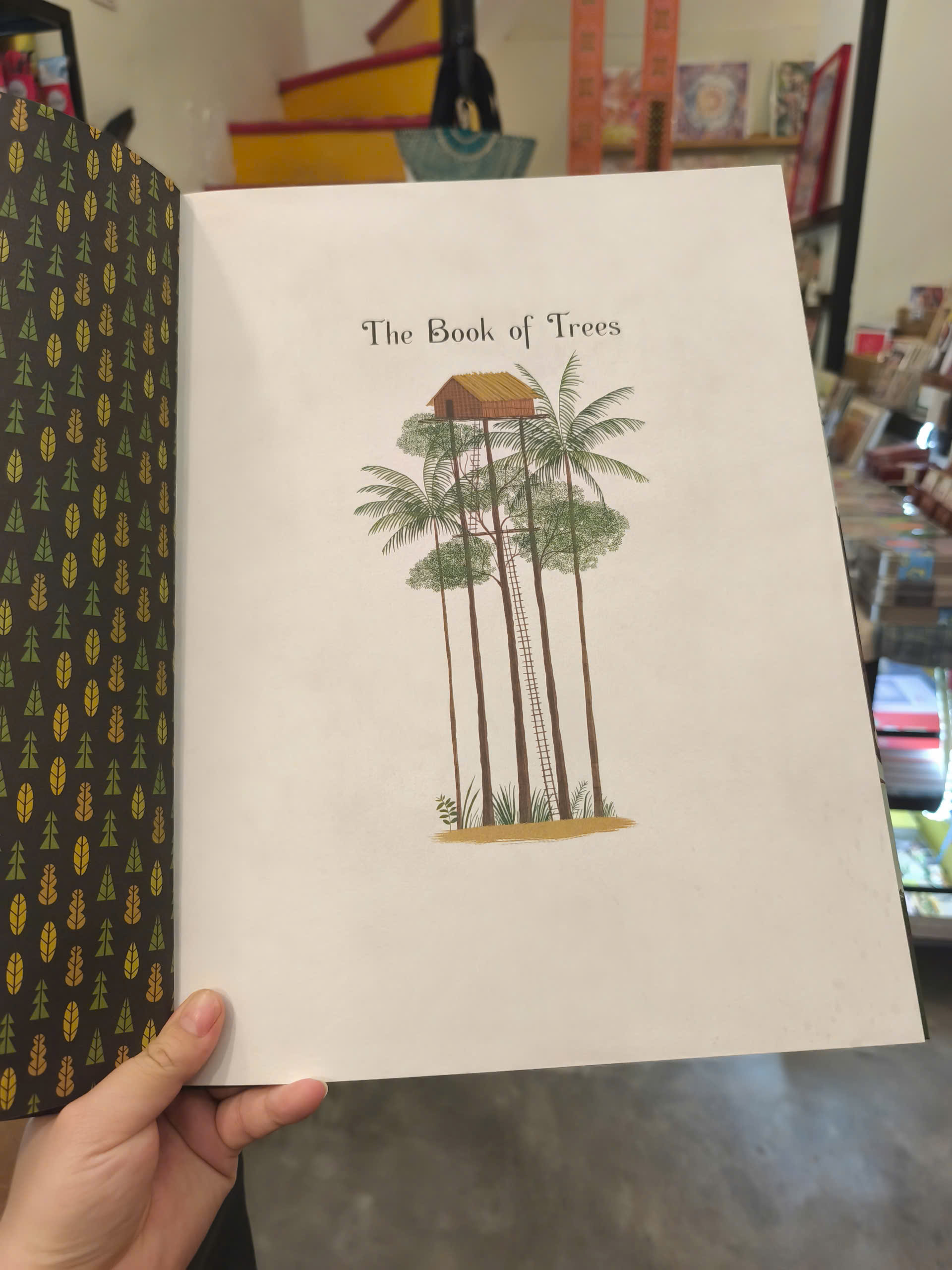Sách - The Book of Trees by Piotr Socha | Childrens Picture Book / Ngoại văn Thiếu nhi Bìa cứng