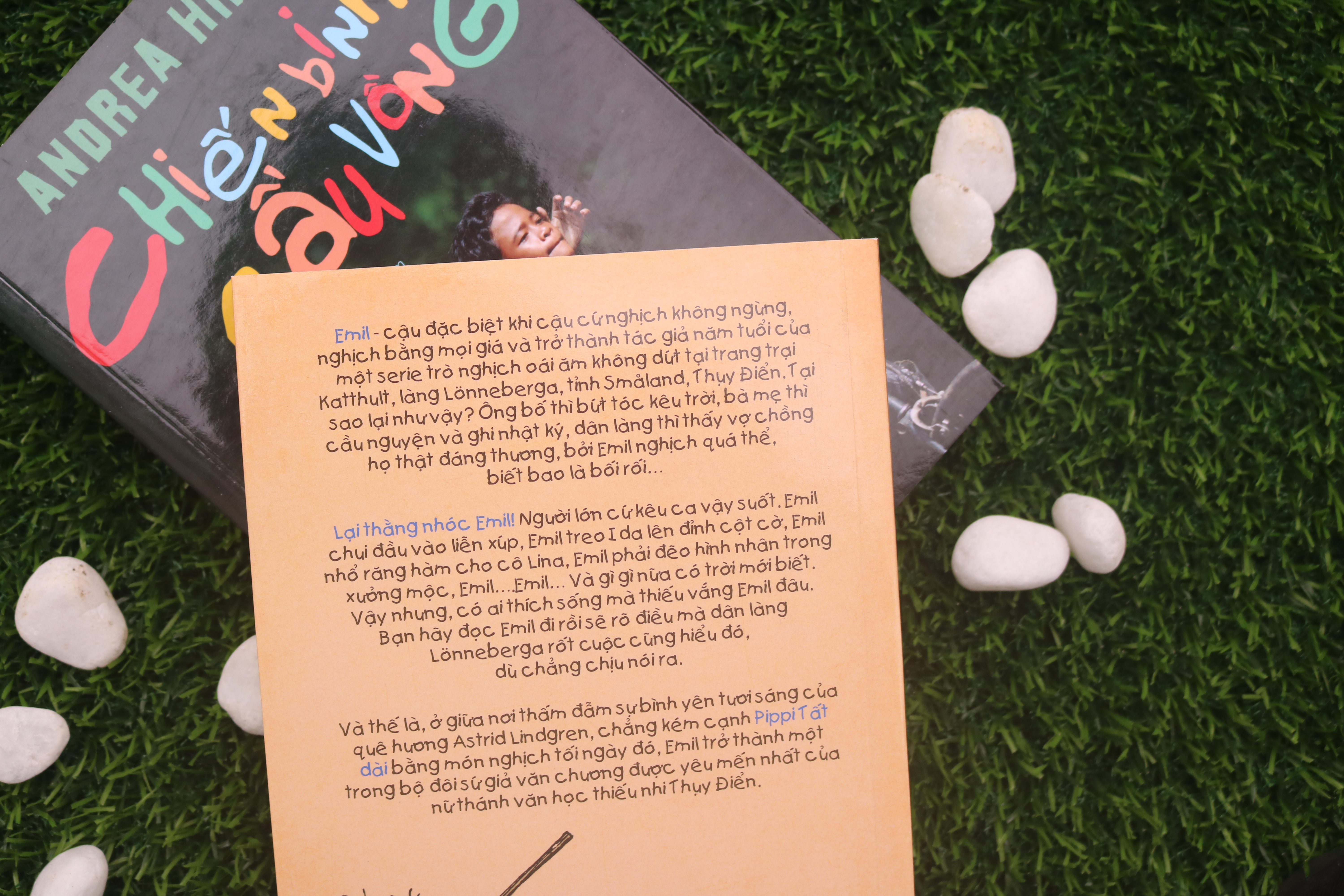 Sách: Chiến Binh Cầu Vồng-Lại Thằng Nhóc Emil