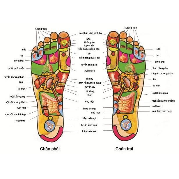 &lt;GIA SỈ&gt; Dép mát xa bàn chân, cải thiện sức khỏe, Giúp ngủ ngon hơn