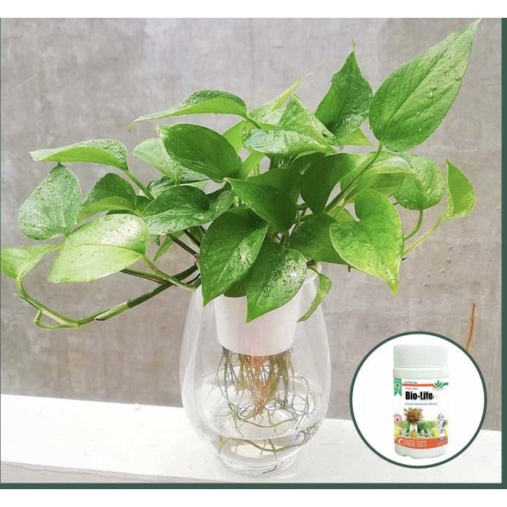 BIO - LIFE DUNG DỊCH TRỒNG THỦY CANH ,CUNG CẤP DƯỠNG CHẤT CHO CÂY TRỒNG THỦY SINH 100ml