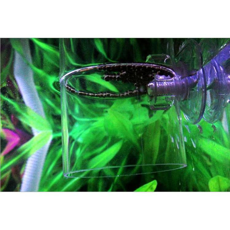 Vòng Giữ Thức Ăn Acrylic - Vòng Ăn Trong Suốt Cho Cá Cảnh