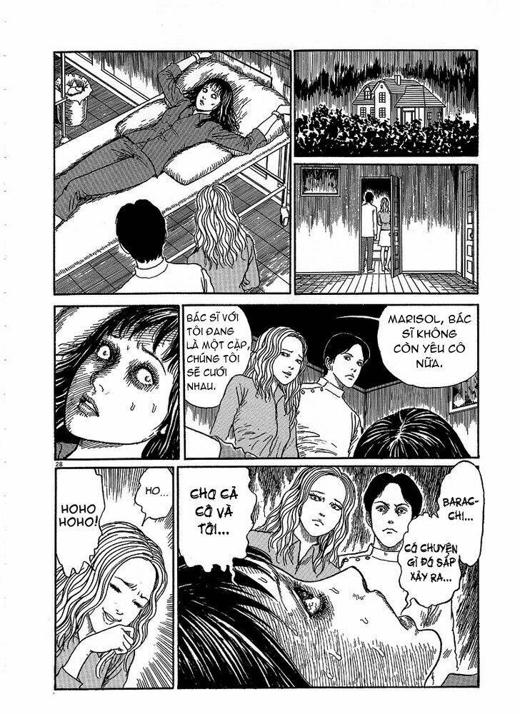 black paradox chapter 5 27