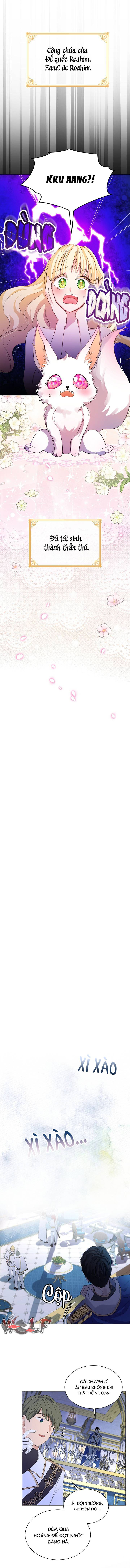 tái sinh thành bé thần thú nhỏ chapter 0 12