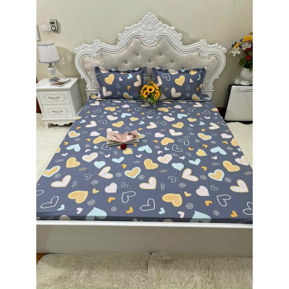 Bộ ga chun trơn và 2 vỏ gối 100% cotton hàn các kích thước