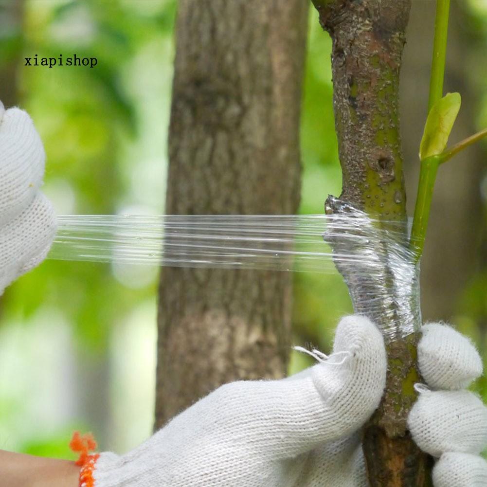 Băng keo ghép mô cành cây trong suốt an toàn tiện dụng