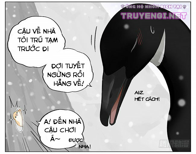 sẻ chiếu mới và nhạn phong sương chapter 5 10