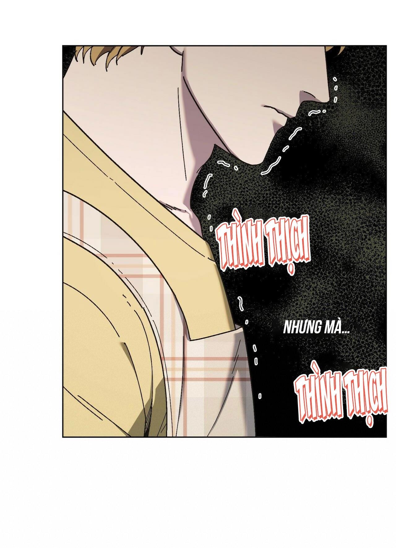 làm dâu nhà tài phiệt họ kang chapter 28 65