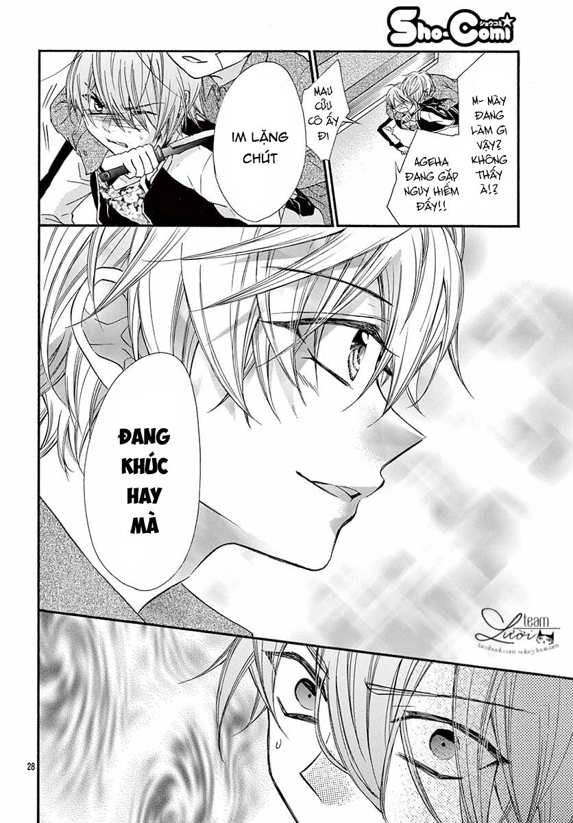 chàng rể giả nhân giả nghĩa chapter 5 28