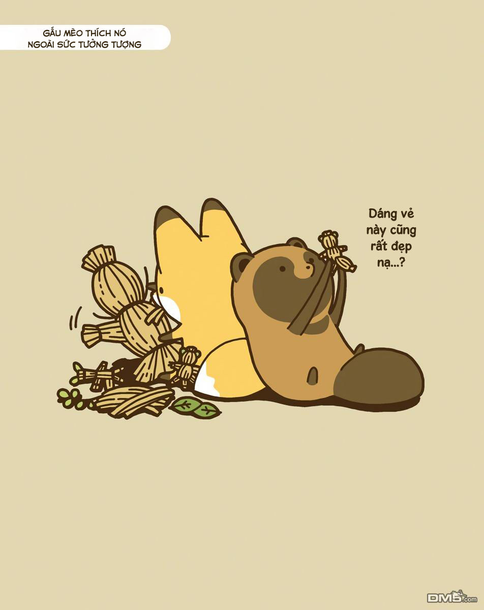cáo và gấu mèo chapter 9 8