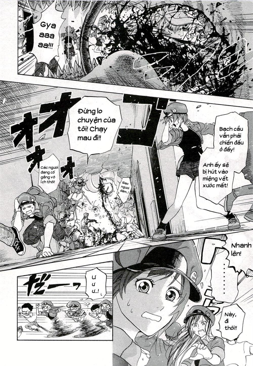 hataraku saibou! chapter 4 13