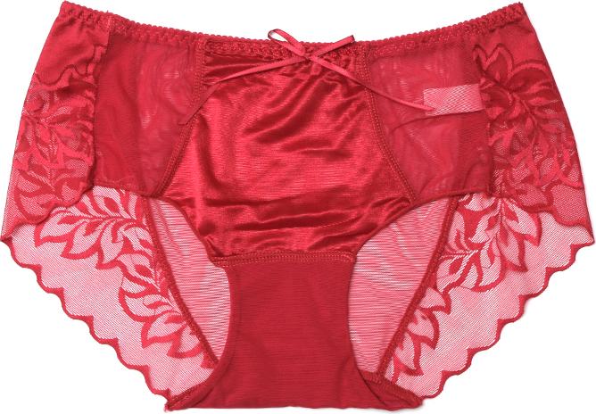 Bộ 5 Quần Lót Ren Lưới - Màu ngẫu nhiên