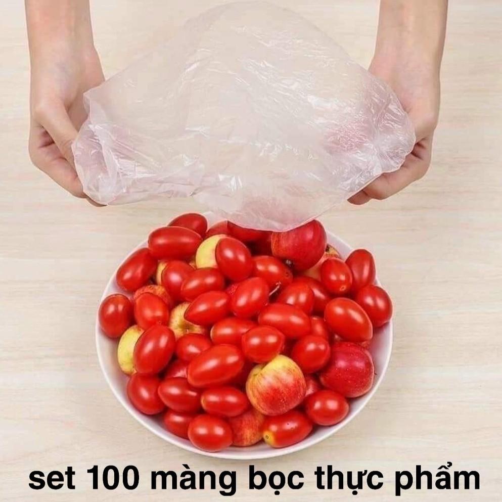 Set 100 túi bọc THỰC PHẨM CÓ CHUN CO DÃN đa năng