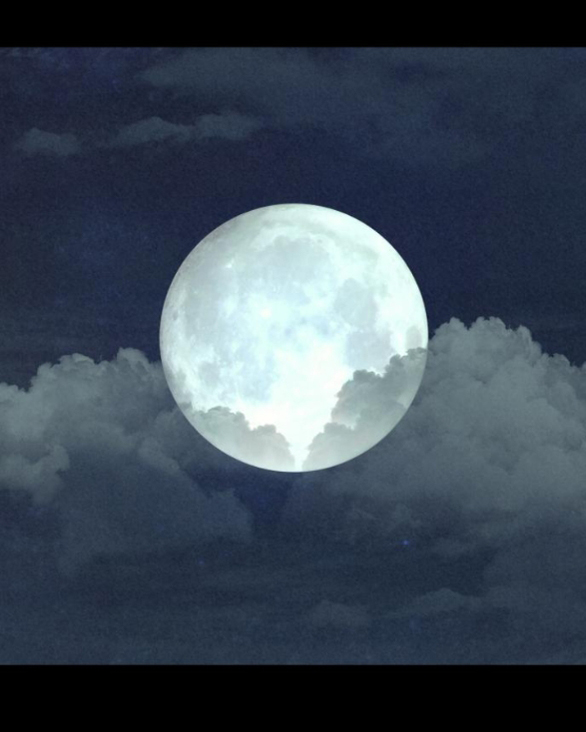 vì tôi đã giết người chapter 4.2 42