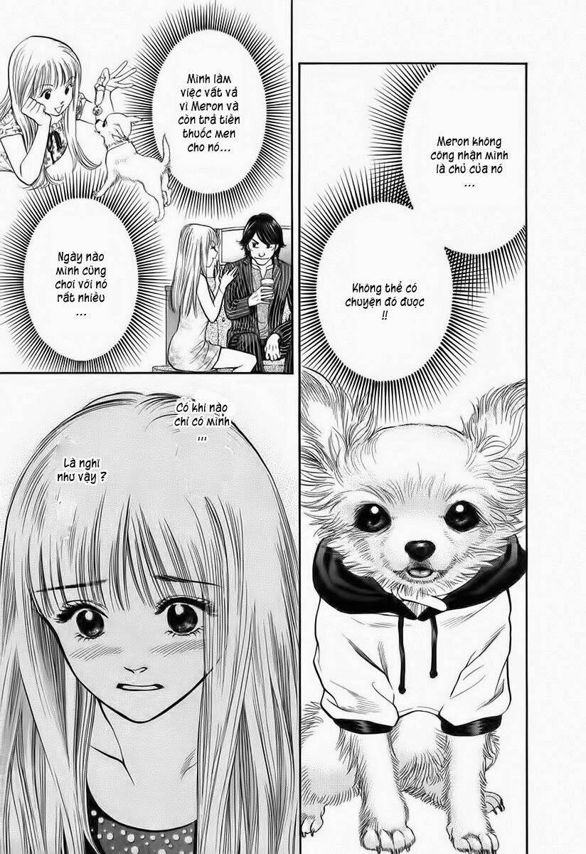 cô nàng yêu chó chapter 37 1
