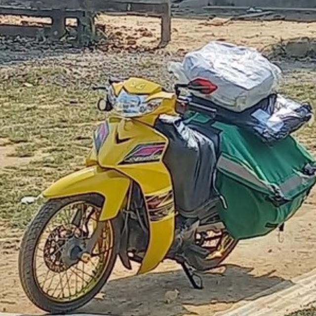 Tem rời dành cho xe Sirius dán xe vàng