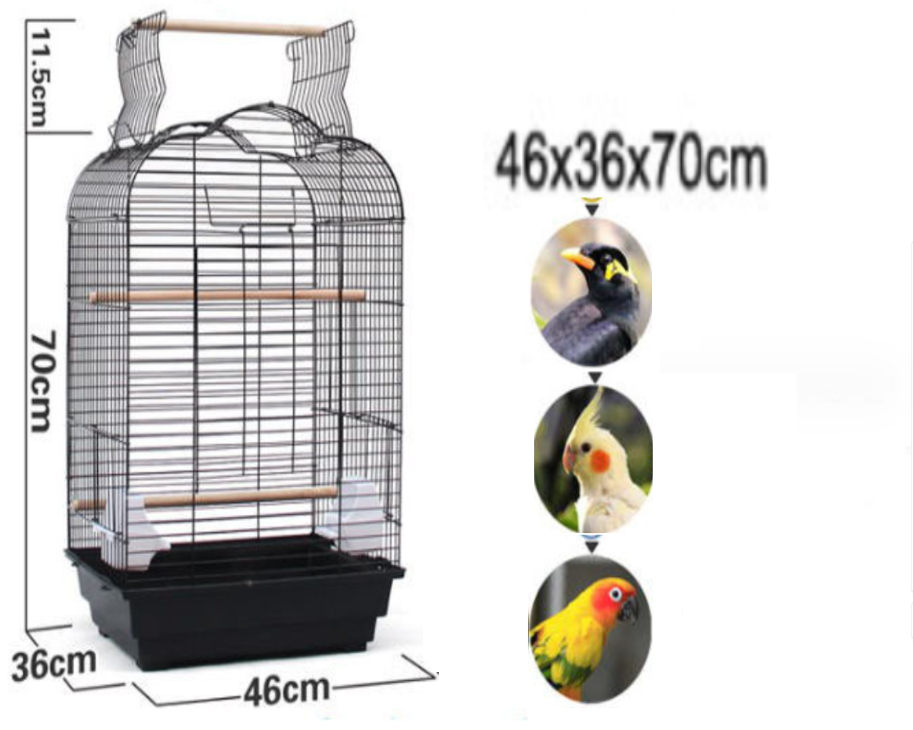 1 LỒNG T5 DÙNG NUÔI CÁC DÒNG VẸT NHỎ VÀ TRUNG