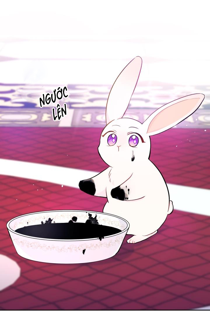 mối liên kết giữa báo đen và bé thỏ chapter 10 40
