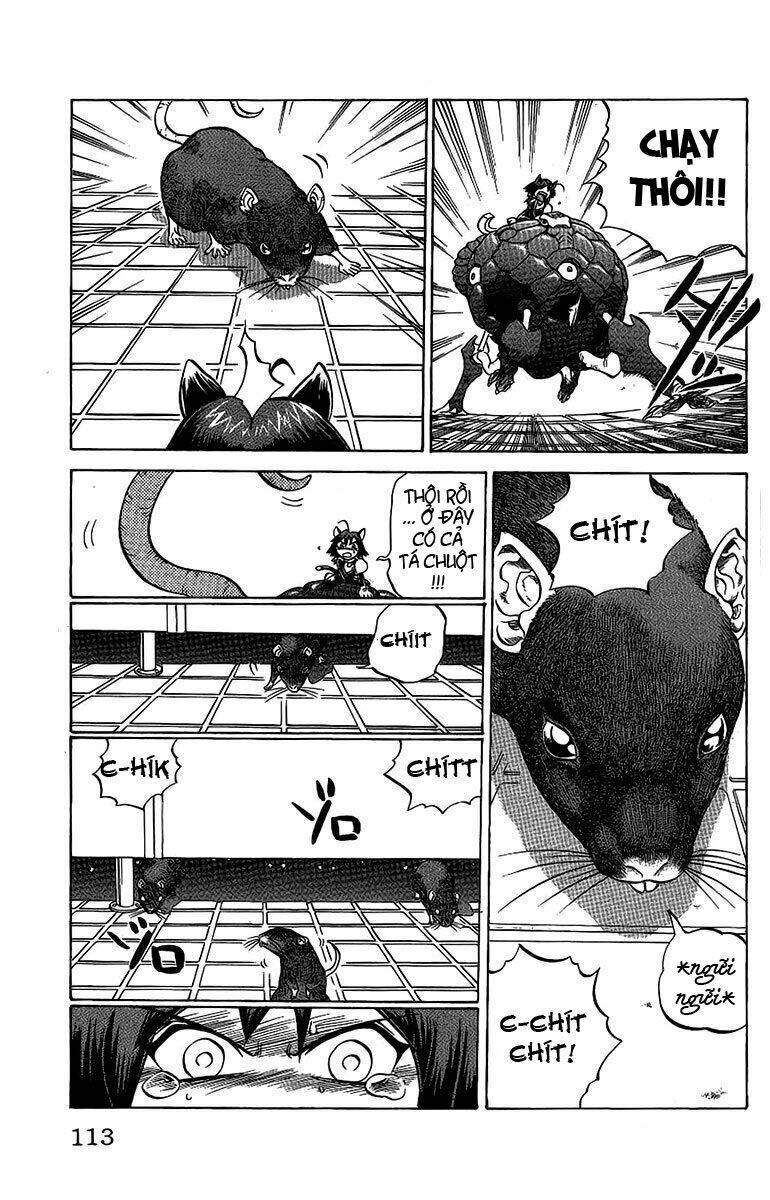 chaosic rune chapter 50 8