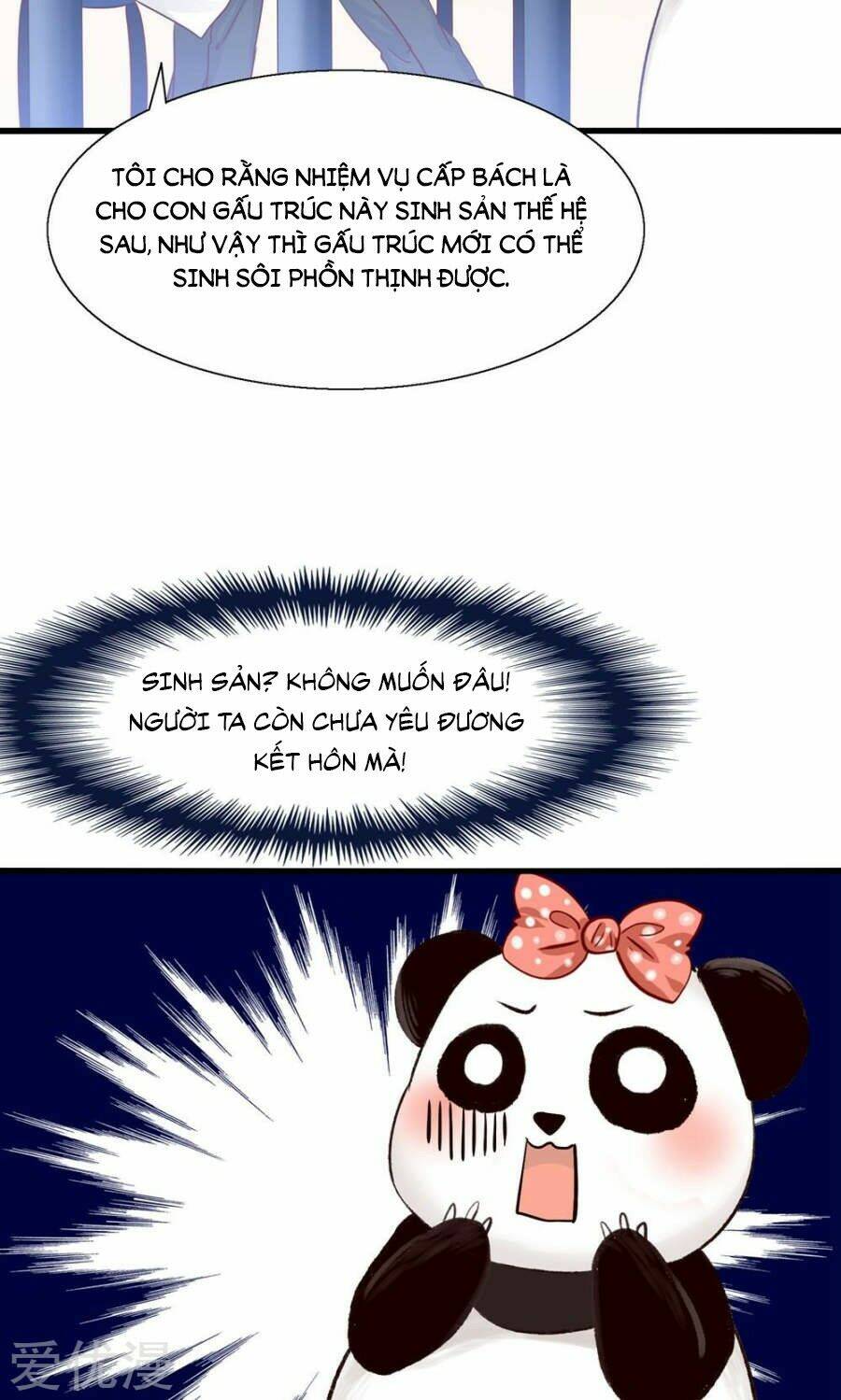 tôi bị gấu trúc nhìn trúng rồi chapter 4 25