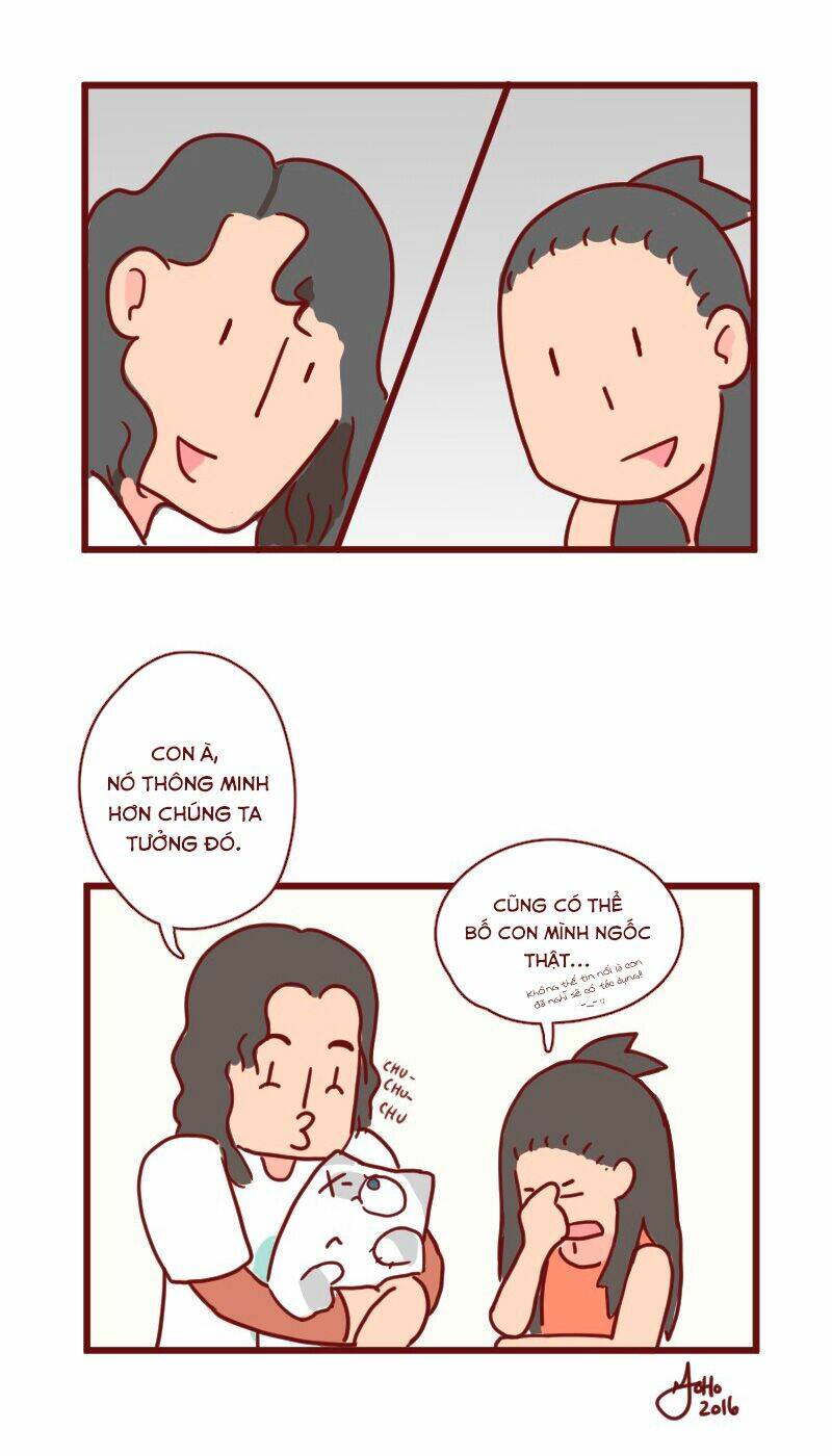 saphie: chú mèo một mắt chapter 12 12