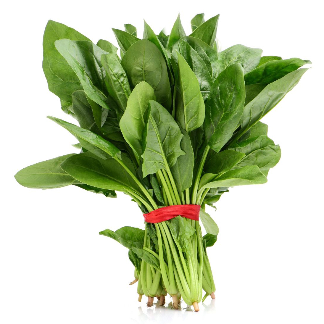 Hạt Giống Rau Cải Bó Xôi Chịu Nhiệt Gói 20Gr