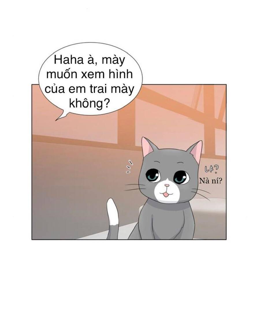 idol và sếp, em yêu ai? chapter 32 2