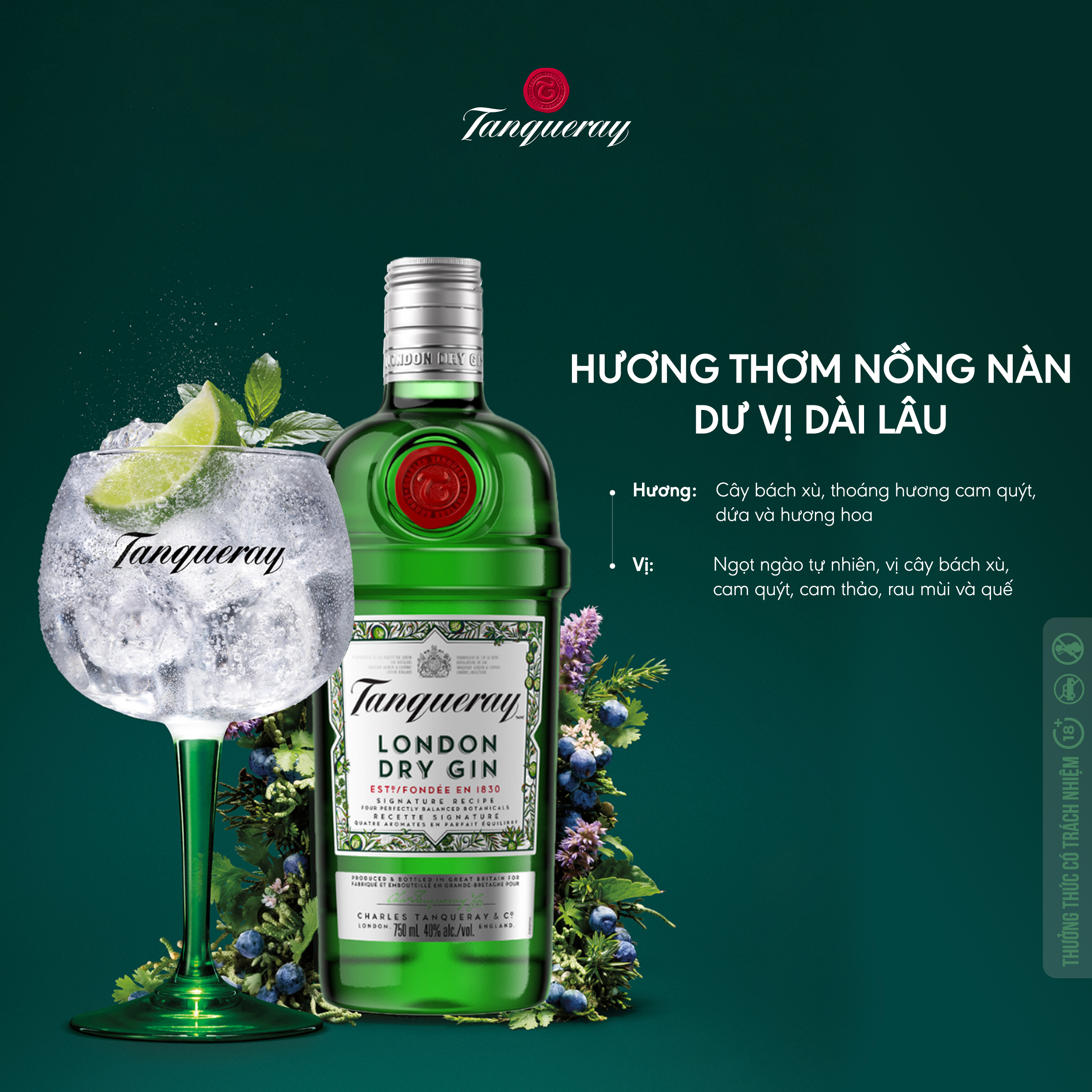 Rượu Tanqueray London Dry Gin 47.3% 750Ml - Rượu Gin Hương Vị Trái Cây, Hoa Cỏ [Không hộp]