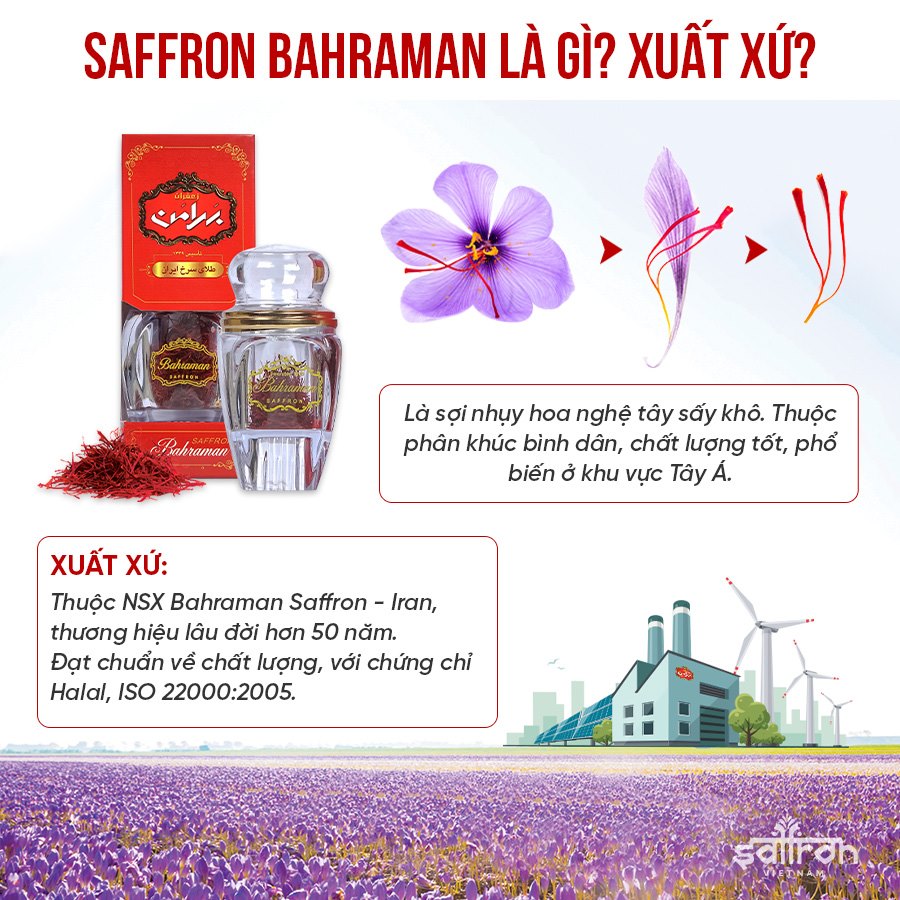 Nhụy Hoa Nghệ Tây Saffron Bahraman Gem 1 hộp 0.5gram/hộp