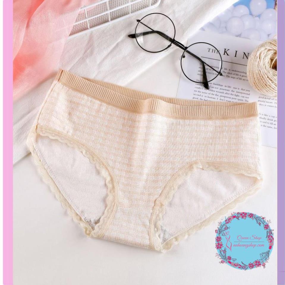 Quần Lót Cotton Sợi Bông Co Giãn Kháng Khuẩn DL101