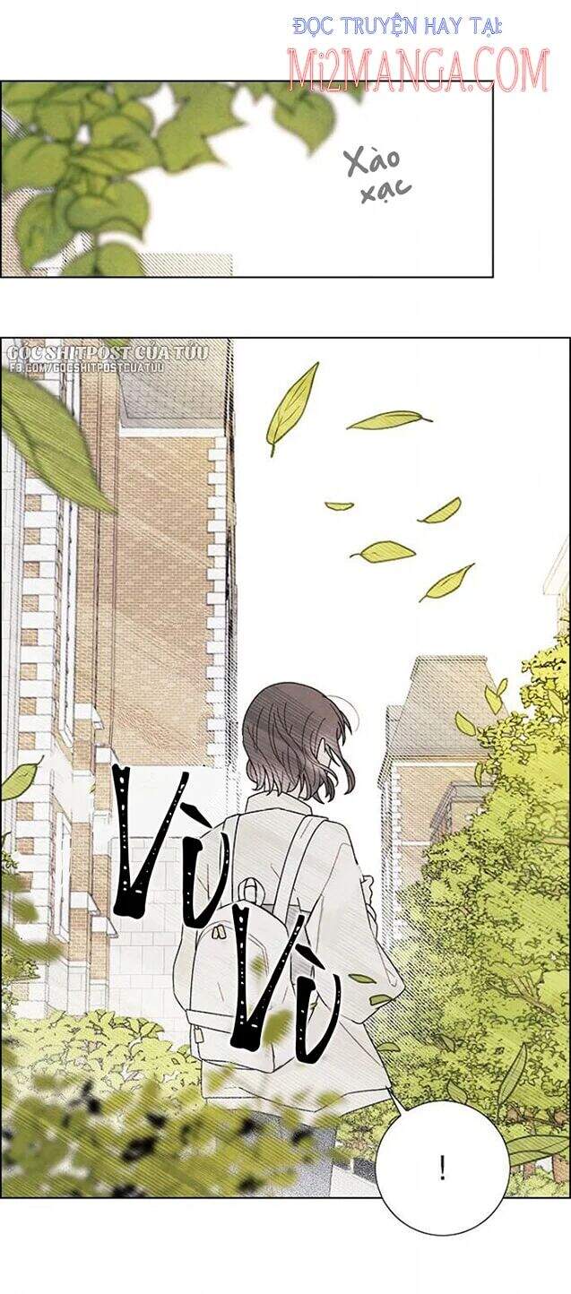 tôi đã cướp mất đêm đầu tiên của nam chính chapter 73.5 25