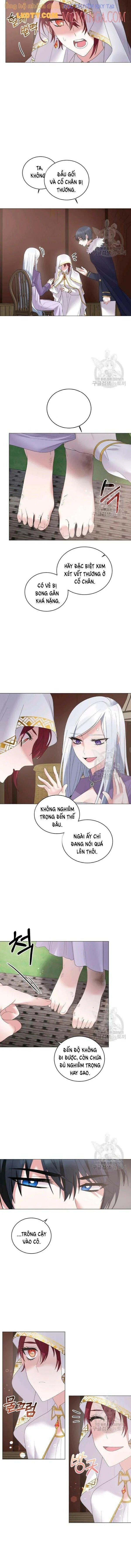 là nhân vật phản diện nhưng tôi sẽ trở thành nữ chính chapter 37 4