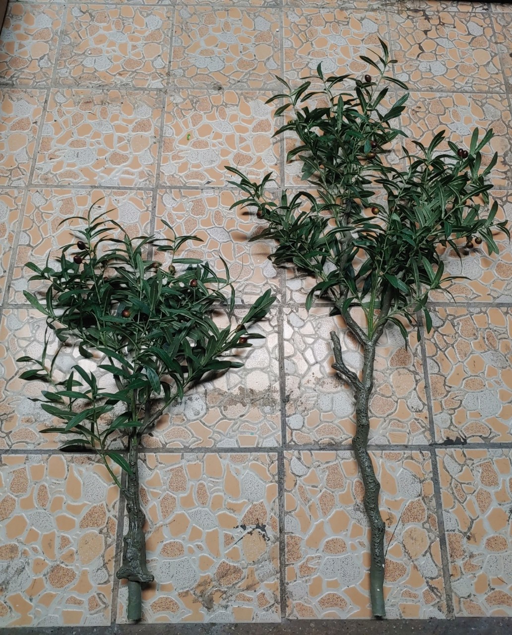 Cây Oliu giả, cây Olive decor trang trí nhà cửa, cao 80cm, 120cm (chưa bao gồm chậu)