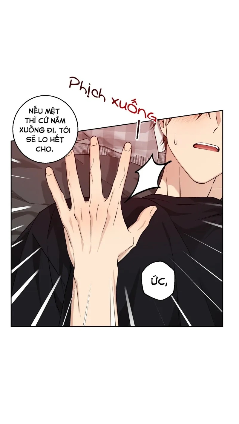 hãy bảo vệ tình yêu thuần khiết! chapter 11 49