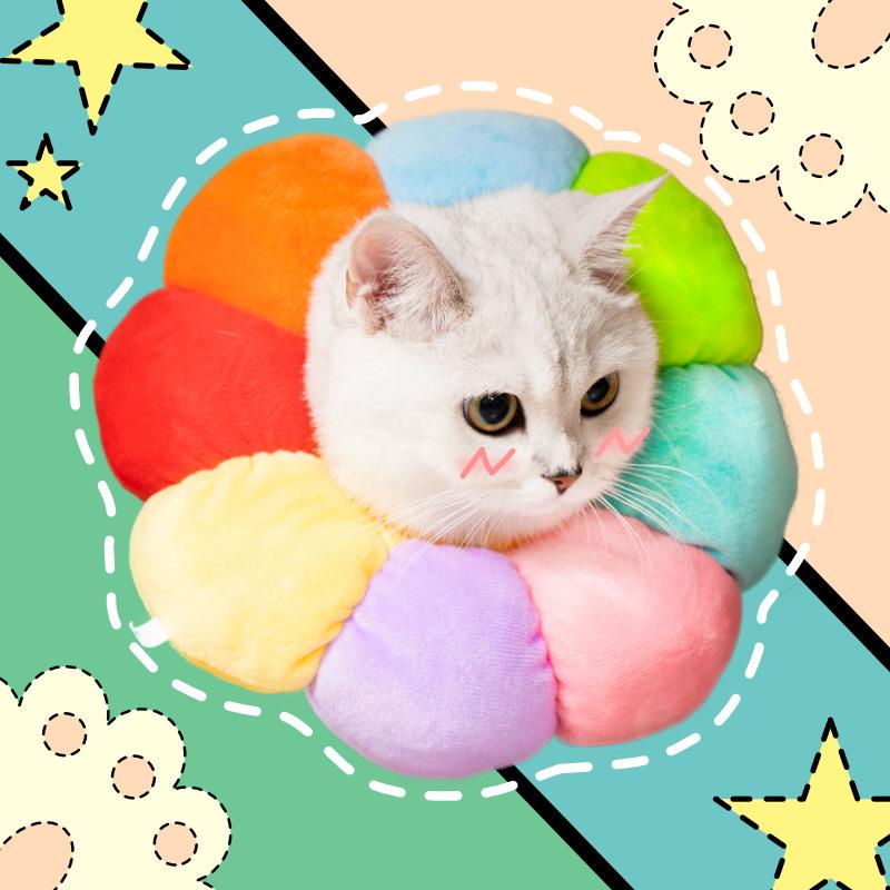 Bảo vệ rò rỉ cổ chó cho chó, chó đau bảo vệ rò rỉ chó, cổ áo mèo, chó phễu, phễu mèo, nước hoa bảo vệ mèo cho mèo, cổ áo cổ mềm