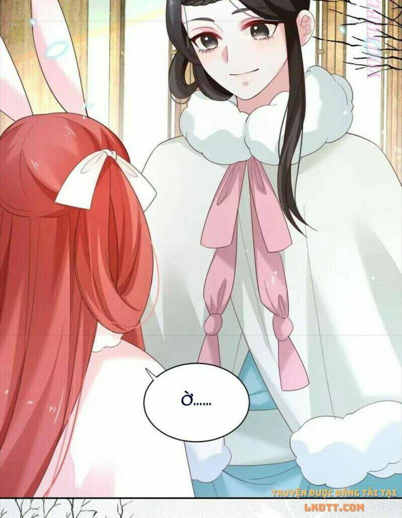 hắc hóa nam chính trực tuyến nuôi thỏ chapter 55 24