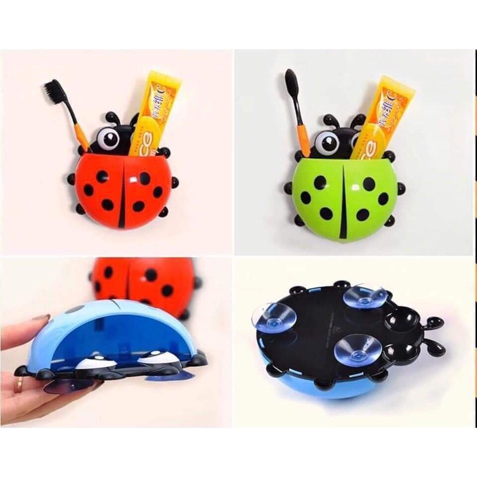 BỌ CẮM BÀN CHẢI