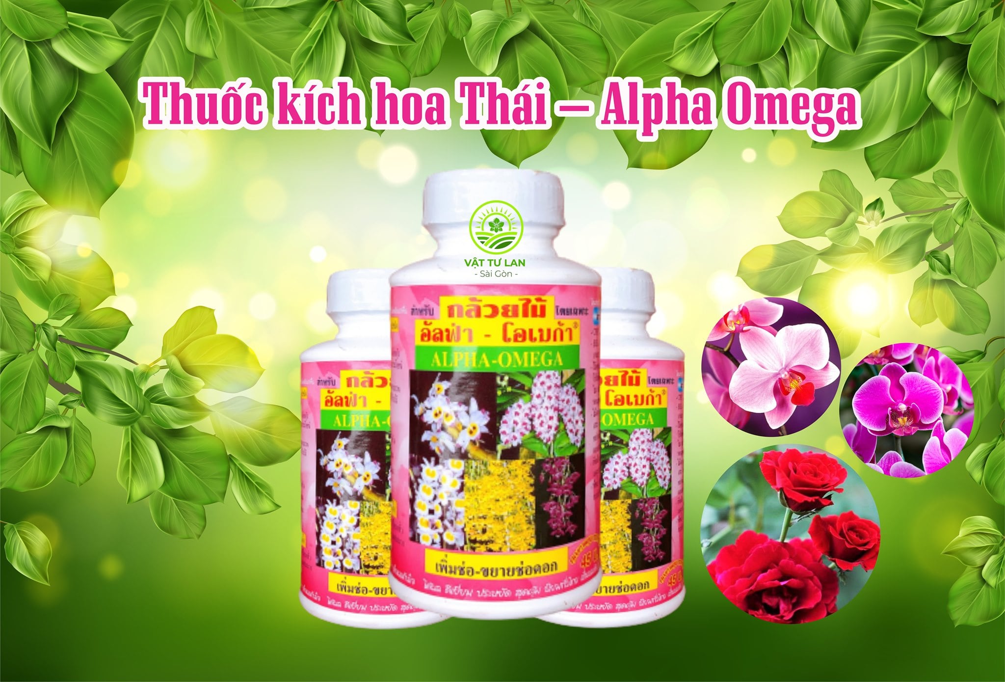 Kích Hoa Cao Cấp ALPHA OMEGA Hàng Thái Lan - 250ml - Siêu Kích Hoa ái Chuyên Dùng Cho Hoa La