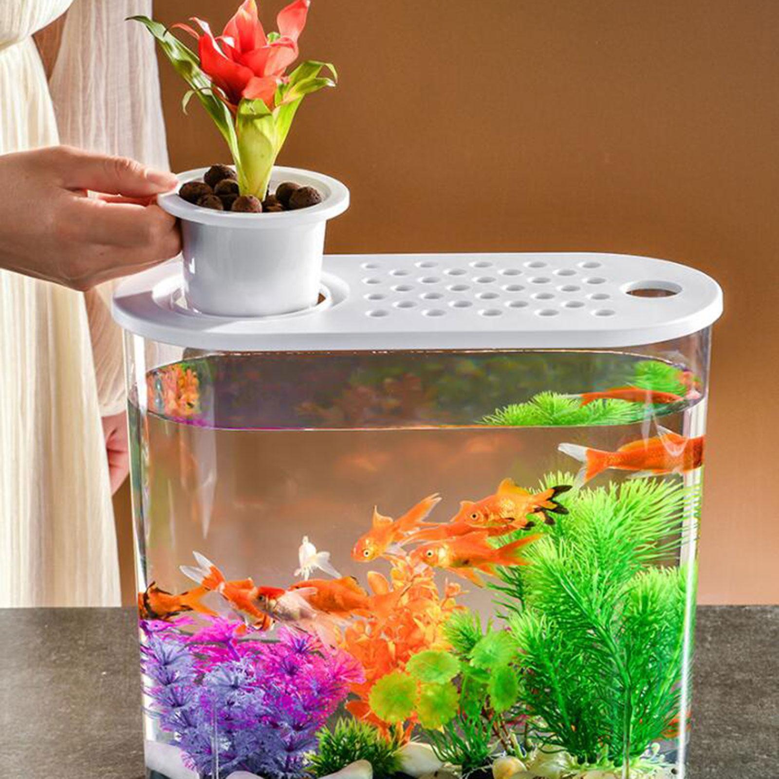 Mini Fish Tank Clear Tank Portable Tabletop Fish Bowl Small Desktop Aquarium