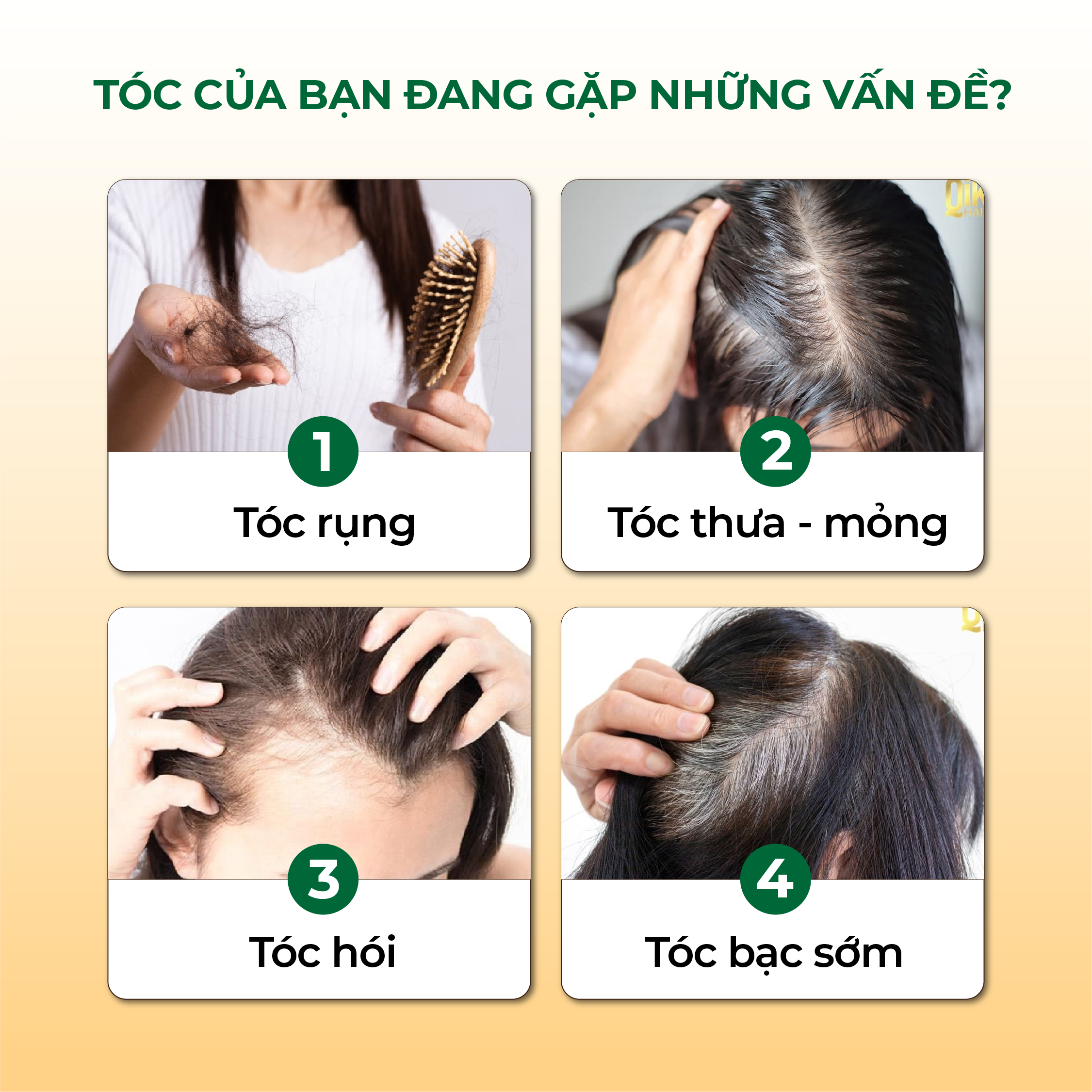 Dầu Gội Xả 2in1 Hà Thủ Ô Cỏ Cây Hoa Lá VIETNAM - Dưỡng Tóc Đen Mượt, Bóng Khỏe, Dung tích 420g/chai