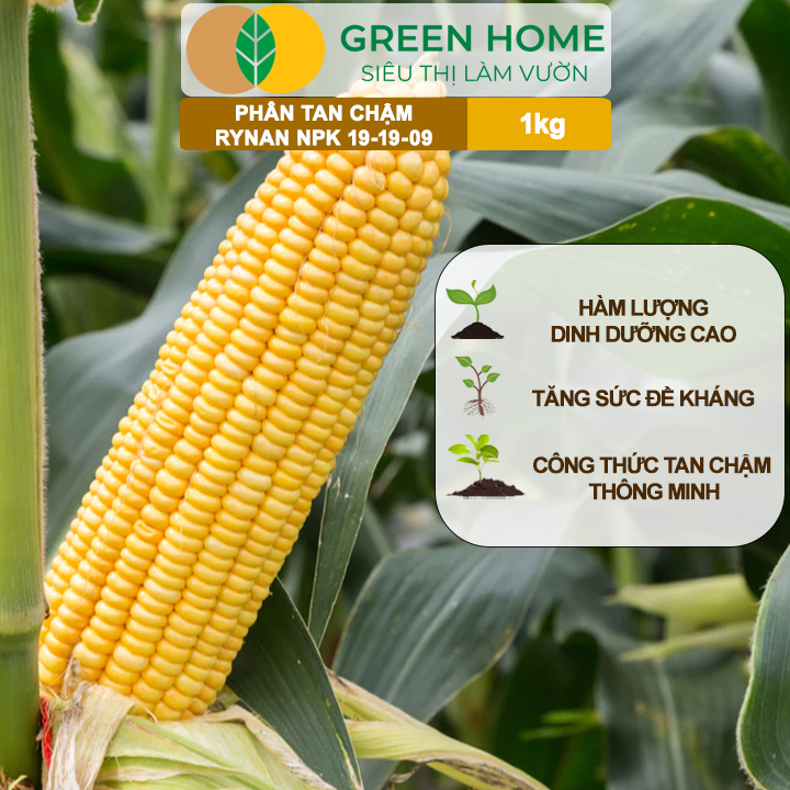 Phân Tan Chậm GreenHome, Rynan NPK 19-19-09, Túi 1kg, Giúp Cây Ăn Trái Phát Triển Mạnh, Chất Lượng
