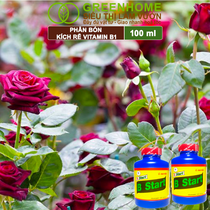 Phân Bón Kích Rễ, Greenhome, B1, Chai 100ml, Tạo Mầm, Rễ Khoẻ, Sai Hoa, Phục Hồi Rễ Yếu, Lá Dày