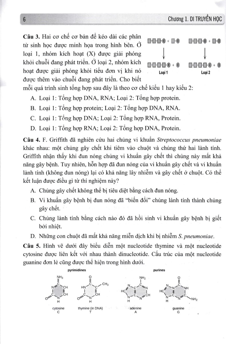 Alpha Biology _GDDT