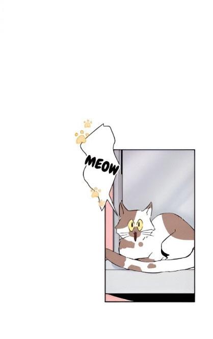 bona sort chapter 22 30