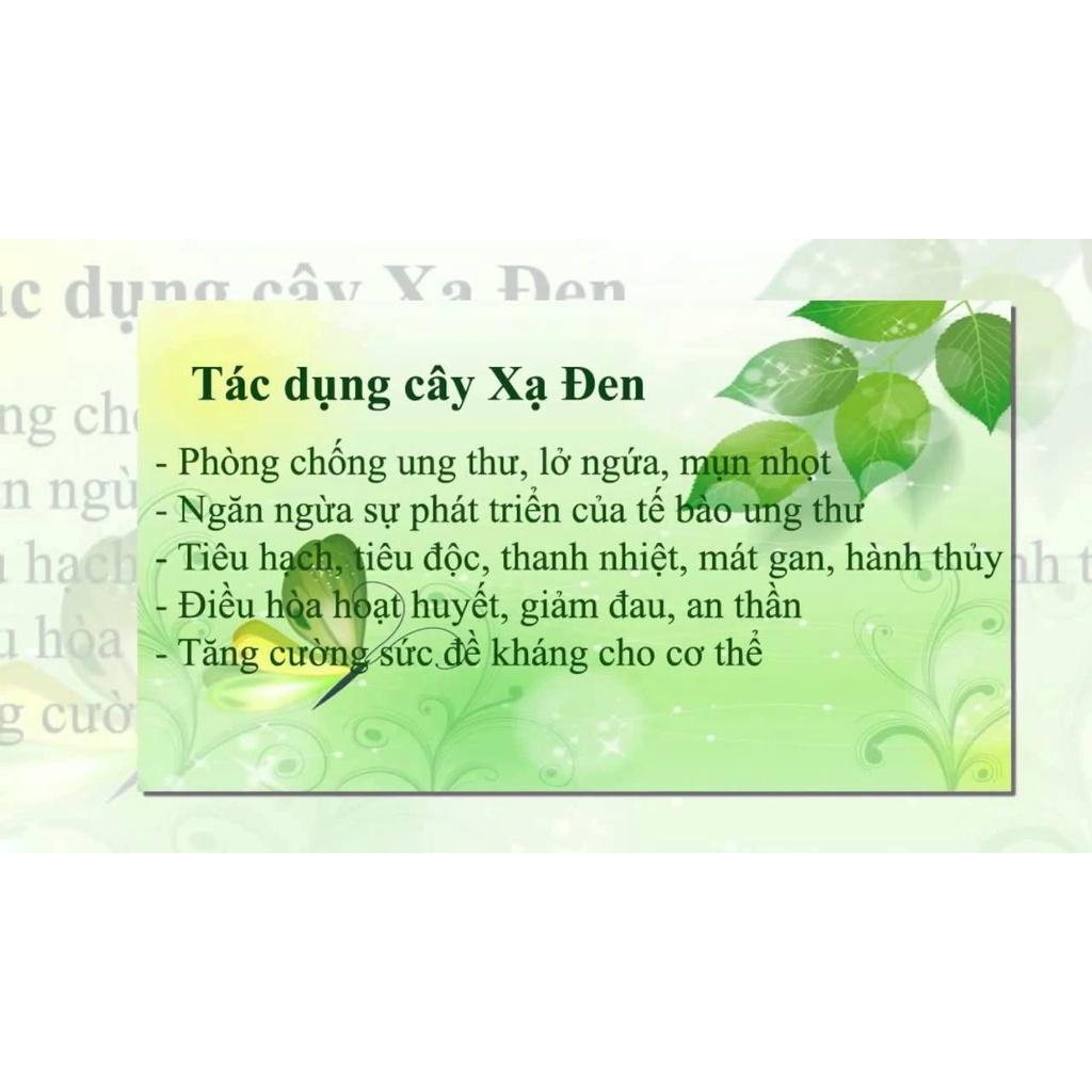 TRÀ THẢO DƯỢC XẠ ĐEN