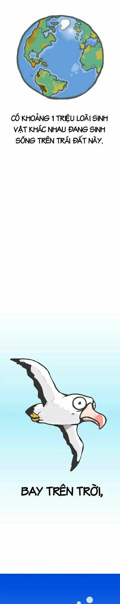 earth, human, and animal chapter 0 2