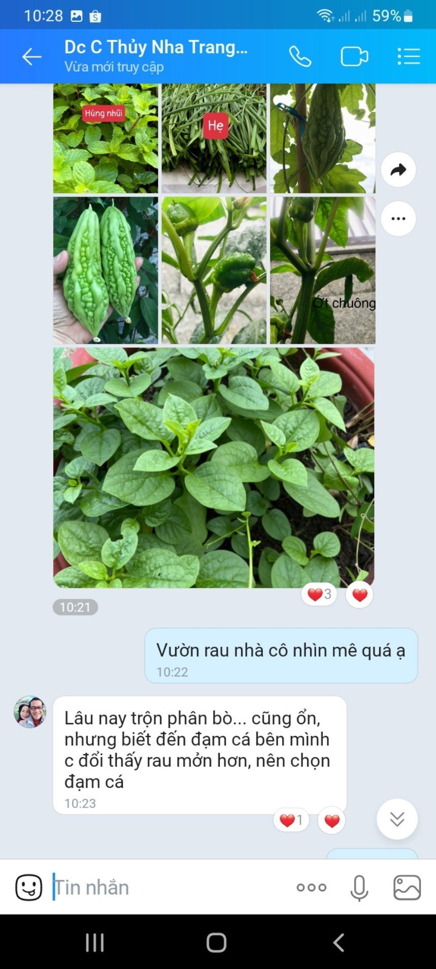 Siêu cải tạo đất với bộ 3 - Emzeo Đa chủng vi sinh vật + Đạm cá hữu cơ CTBIO +Axit Humic - giúp cải tạo cho diện tích 100m2