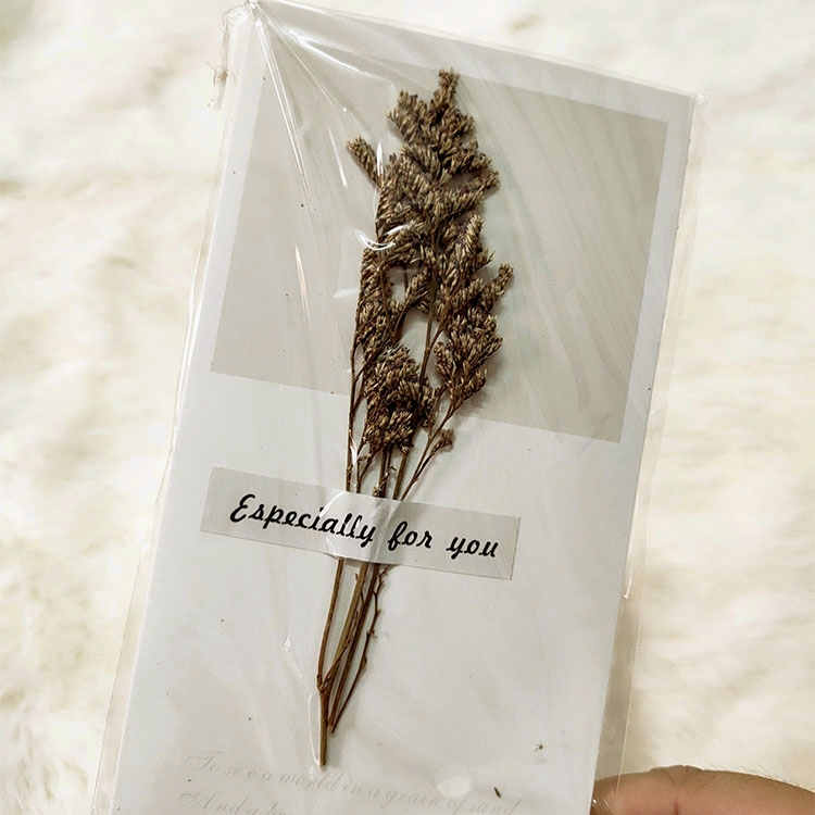 Thiệp Hoa Khô Trang Trí
