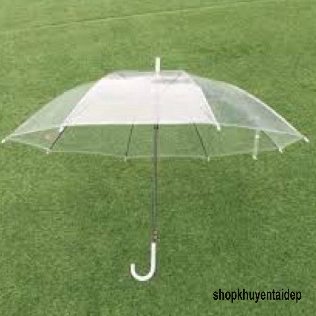 Ô TRONG SUỐT ĐI MƯA-Ô dù trong suốt-Ô TRONG SUỐT CÁN DÀI CÓ TAY CẦM-Ô TRONG SUỐT HÀNG CHUẨN ĐẸP