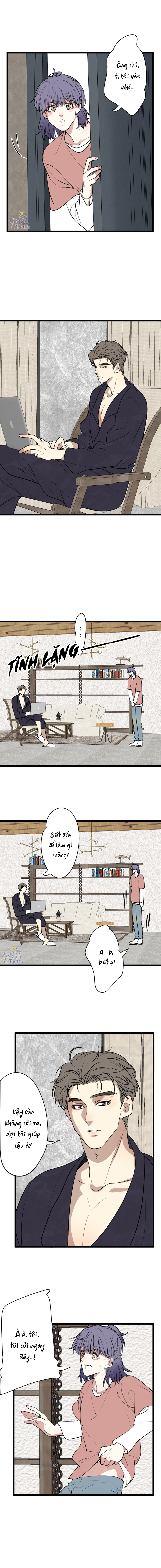 cái đùi vàng chapter 1 3